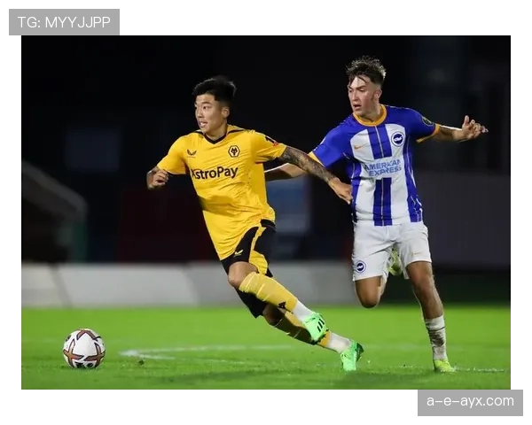 狼队青训体系持续创新，锻造未来足球明星提升竞争力