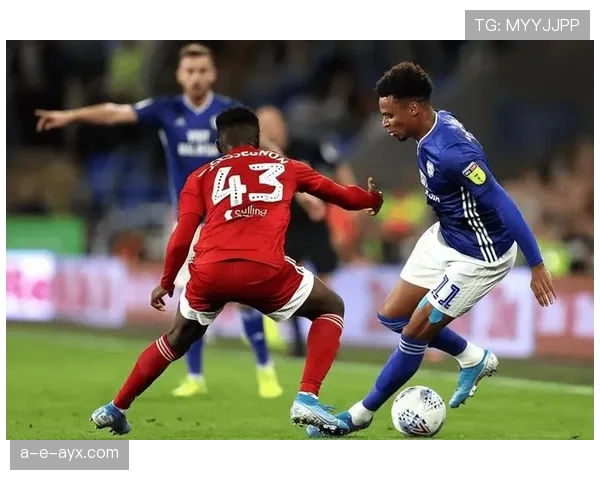 富勒姆新赛季英超表现抢眼，状态回暖点燃球迷热情