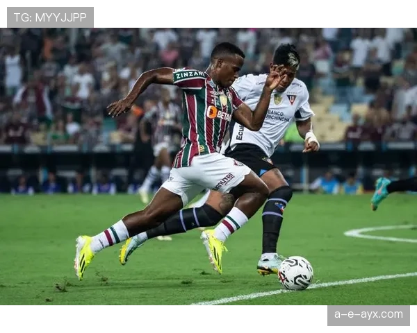 南美足球联赛新赛季备战火热，各队状态稳步提升引关注