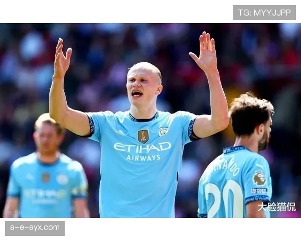 哈兰德曼城前锋